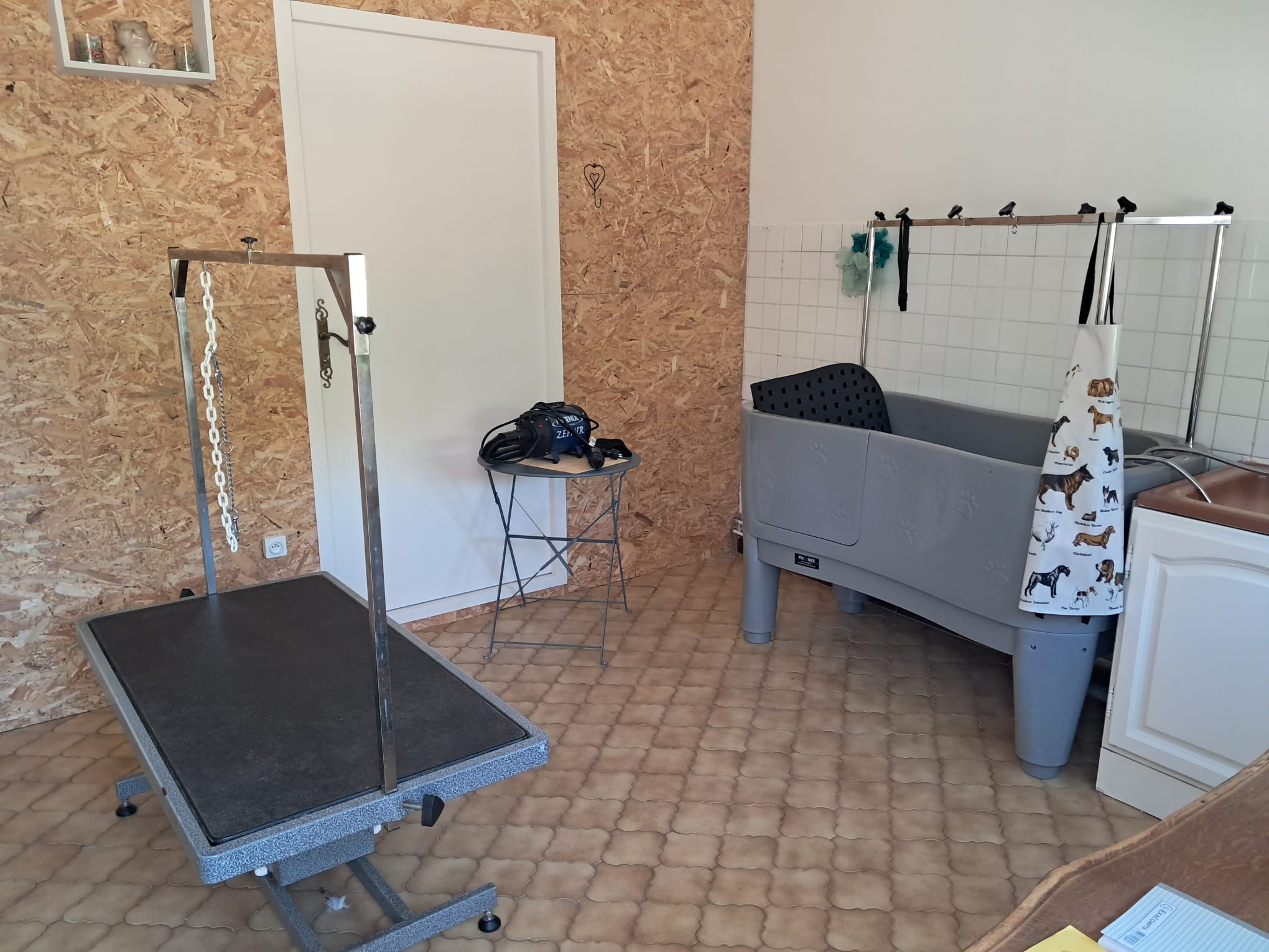 Douces Pattes - Photo du salon