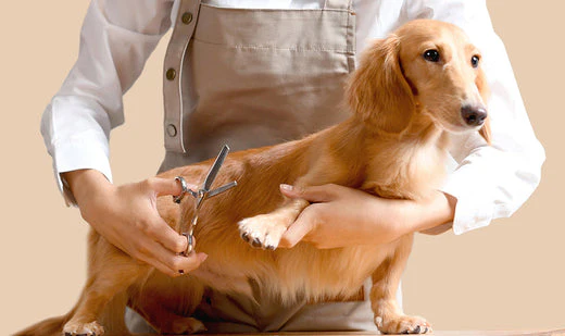 Salon de Corentin - Photo 1